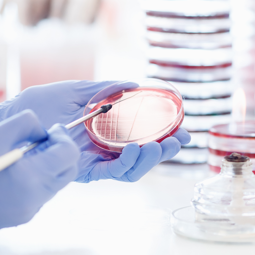 Infectious Diseases and Clinical Microbiology